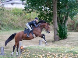 IMG_8289_web